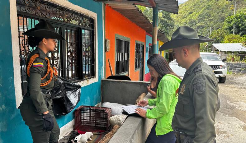 Policía Ambiental rescató 9 cachorros y a su madre en Coello Cocora