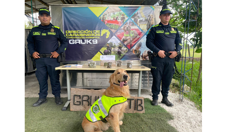 Gracias a Jefry se incautó marihuana en Ibagué