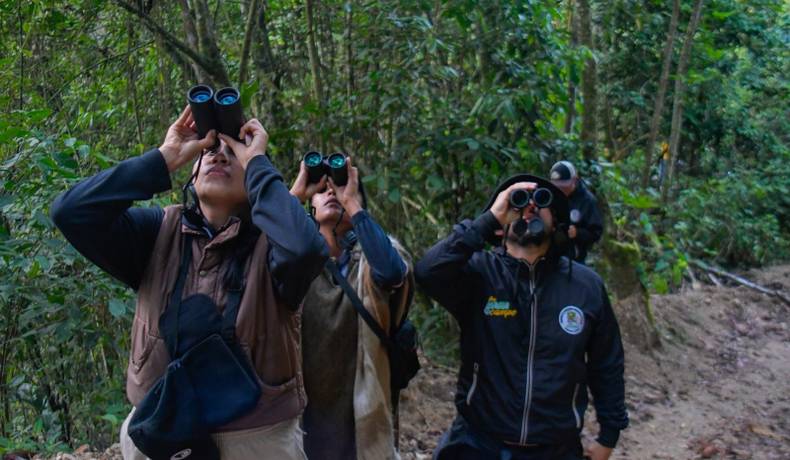 Asista a la clausura del Festival de Aves del Tolima en Purificación