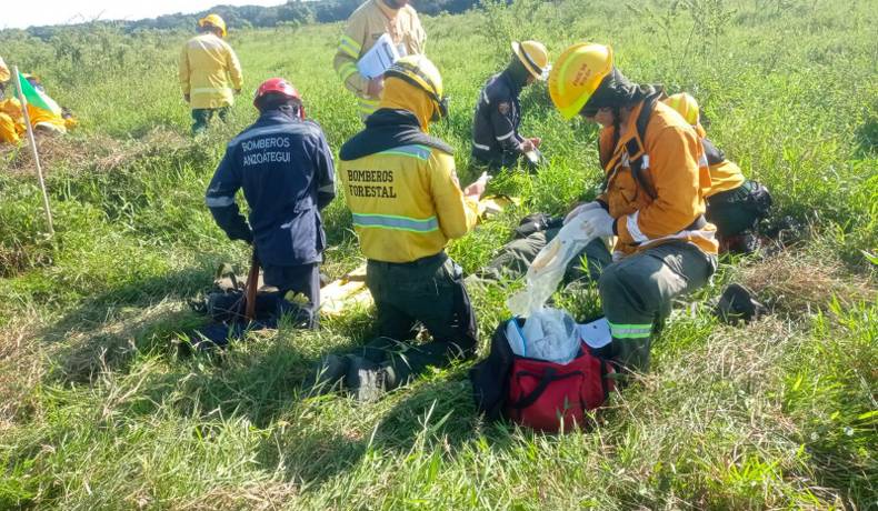 Brigadas Forestales del Suroriente y Norte del Tolima logran certificación nacional