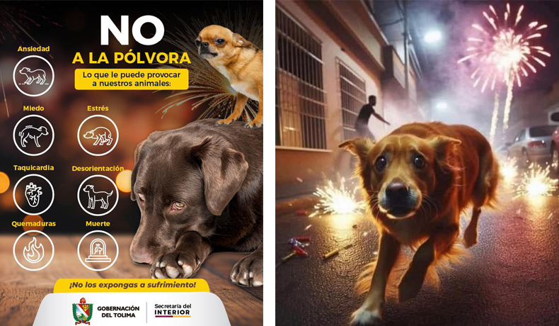 Gobernación llama a proteger la fauna doméstica y silvestre durante las festividades decembrinas