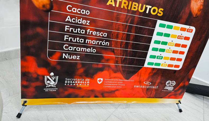 Sur del Tolima tiene el primer mapa de perfil sensorial de cacao