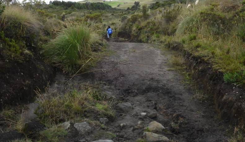 Aprobado plan de manejo de la reserva forestal protectora El Toro