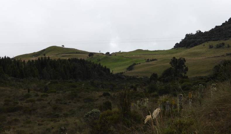 Aprobado plan de manejo de la reserva forestal protectora El Toro