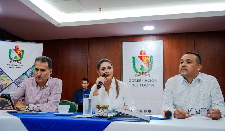 Nueva ruta aérea Bogotá - Mariquita llega al Tolima esta semana