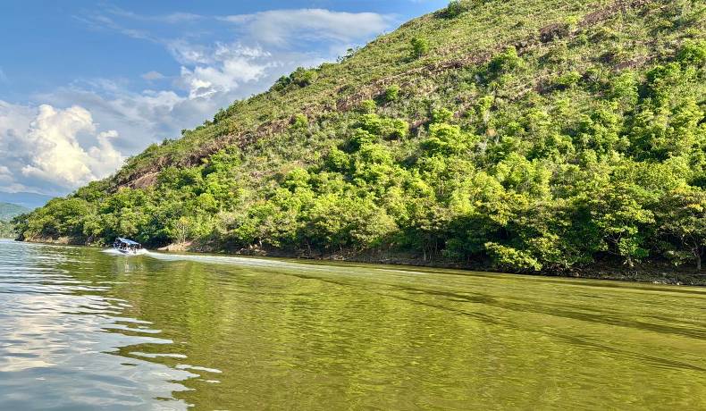 Ruta Purificación - Prado, un plan para los amantes de la naturaleza