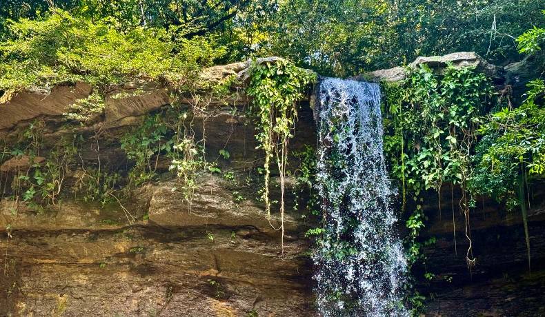 Ruta Purificación - Prado, un plan para los amantes de la naturaleza