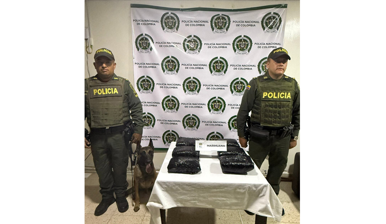 Rex halló 6.5 kilos de marihuana en un bus intermunicipal