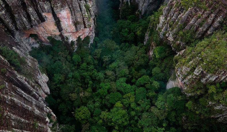 Inversión de un millón de dólares en tres décadas para restauración y protección del Parque Chiribiquete