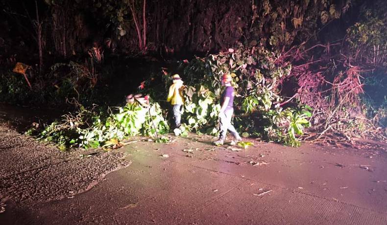 Alcaldía atendió caída de árboles e inundaciones por fuertes lluvias de las últimas horas