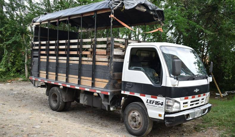 El burrito Medina, sobreviviente a los incendios en Coyaima, regresa a casa 100% recuperado