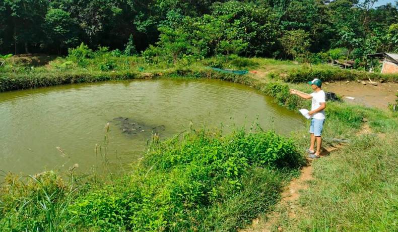 Gobierno destina $24.000 millones para 200 proyectos de paz y sostenibilidad en municipios PDET