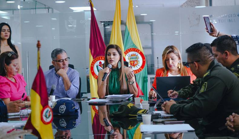 Medidas que tomarán autoridades del Tolima para intensificar acciones contra la violencia de género