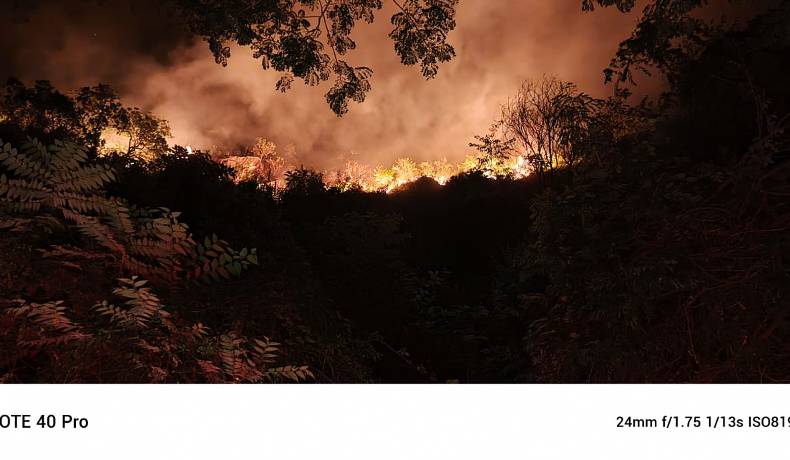 Incendio en Prado: Gobernación del Tolima coordina acciones de control