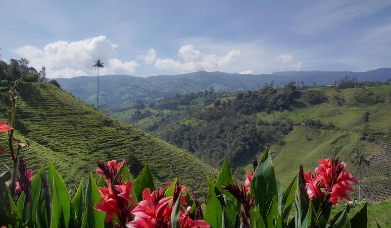 El turismo de naturaleza: respuesta a la crisis de salud mental global