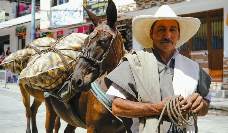 Gobernación del Tolima entregó 500 bultos de fertilizante a productores de Cajamarca