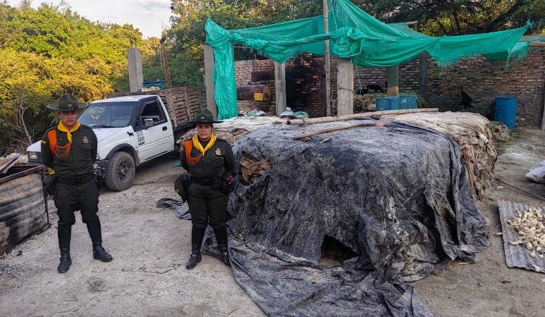 En el Espinal, Carabineros logran la captura de un sujeto por contaminación ambiental
