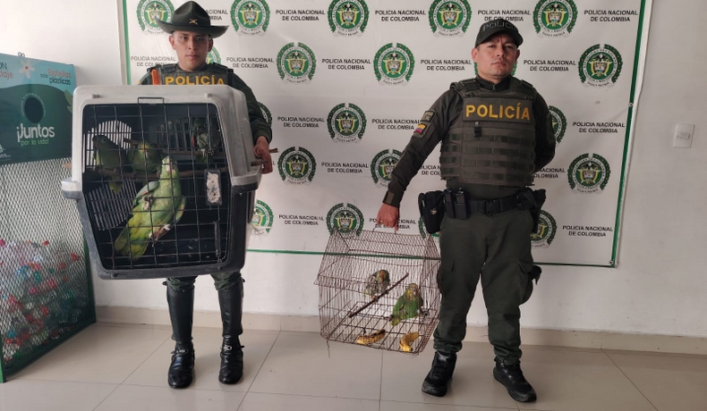Carabineros con su Grupo Control a la Biodiversidad y Protección Animal comprometidos con la protección de la fauna silvestre