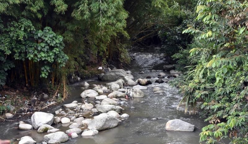 Gobernación del Tolima trabaja en estrategias para recuperación de la cuenca del río Chípalo