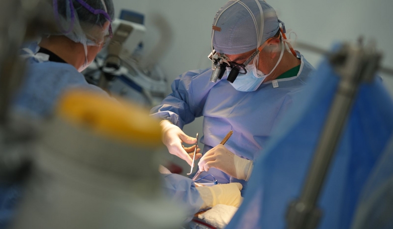 Balance de cirugía cardiovascular: Resultados en el primer año