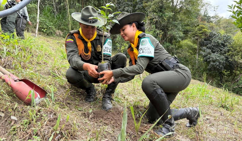Sembraron 300 árboles para la protección del río Anaime