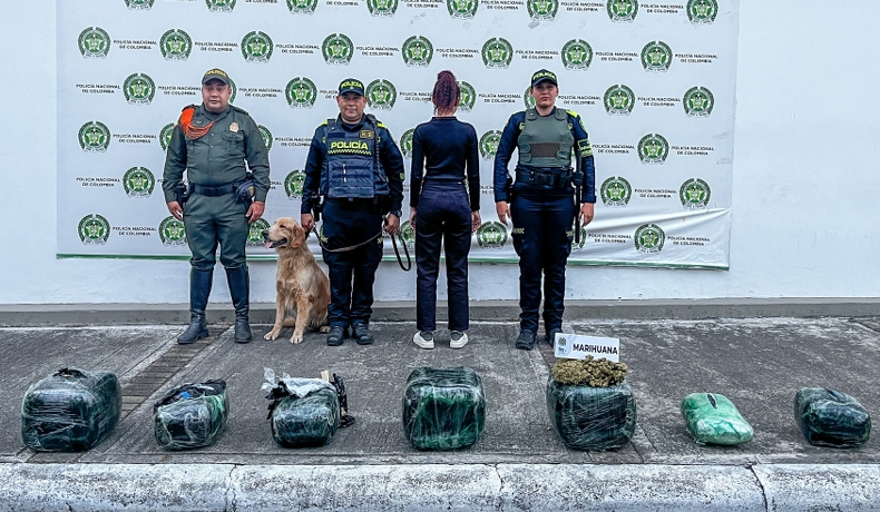 Perla, un canino de la Policía, incautó 35 kilos de marihuana