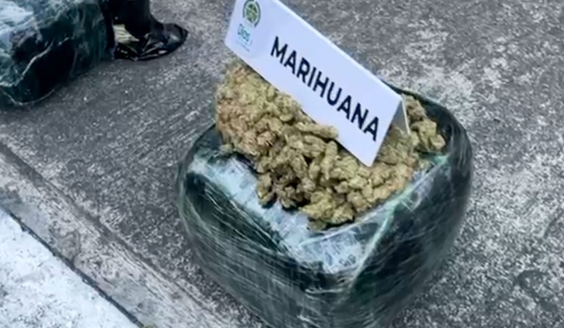 Perla, un canino de la Policía, incautó 35 kilos de marihuana