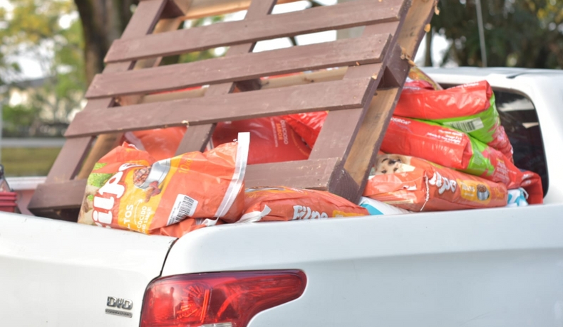 Personería Municipal de Ibagué señala deficiencias en el CAPA