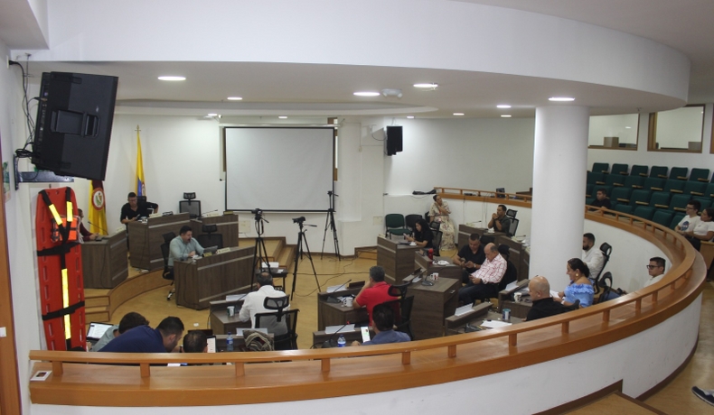 Aprobado por unanimidad el proyecto de estampilla para fortalecer las comisarías de familia en Tolima