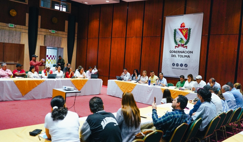 Conozca las propuestas de la gobernadora Matiz para las víctimas del conflicto en el Tolima en 2025