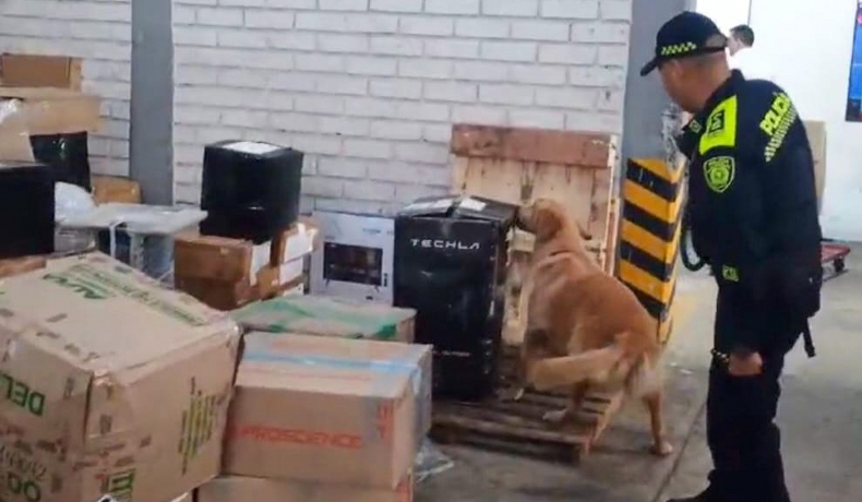 Caen dos narco parlantes