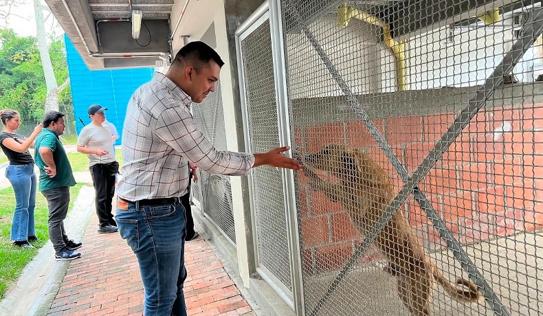 ¡Justicia para Amiga! Gobernación exige contundencia en caso de maltrato animal en Anzoátegui