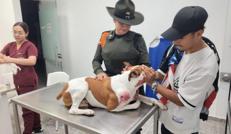 Max fue atendido por la Patrulla Ambiental de la Policía