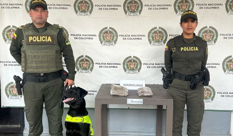 Gracias a Polo se logró la incautación mediante hallazgo de estupefacientes