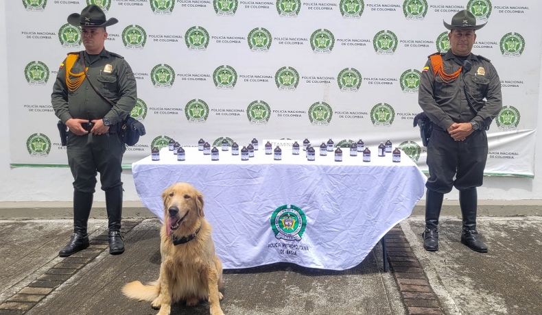 Jefry y su guía hallaron 27 Frascos de Ketamina en controles a empresas de encomiendas