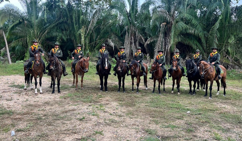 19 personas capturadas, un arma de fuego y 2 armas traumáticas incautadas, 2 motocicletas recuperas, algunos resultados del fin de semana