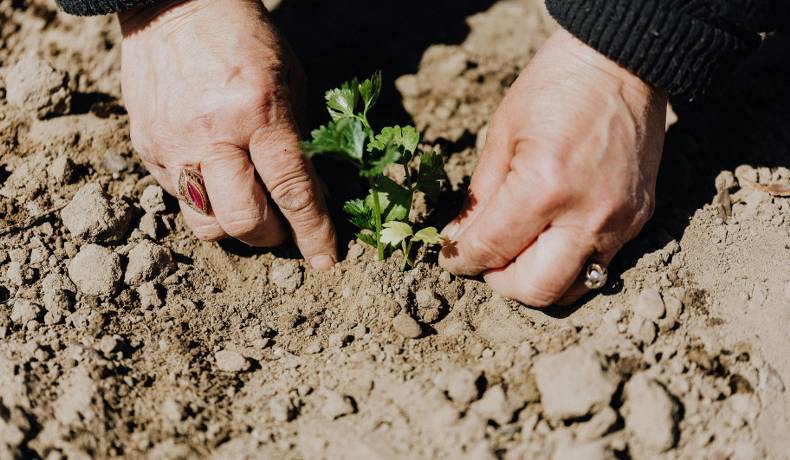 Cámara aprobó iniciativa que busca que mujeres del campo accedan a educación, emprendimiento y mejores condiciones de vida.