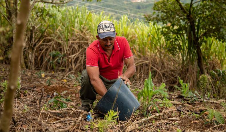 Argos entregará al campesinado todas las tierras que había conseguido en Montes de María