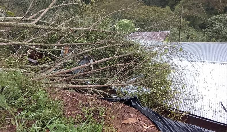 Secretaría de Ambiente y Gestión del Riesgo atendió tragedia en Chaparral por deslizamiento