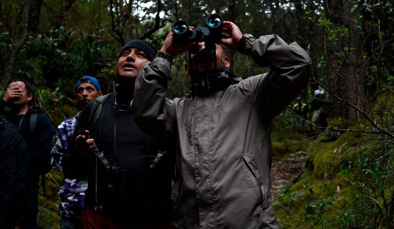Colombia  busca consolidarse como país líder en avistamiento de aves en el Global Big Day 2024 mañana 11 de mayo 
