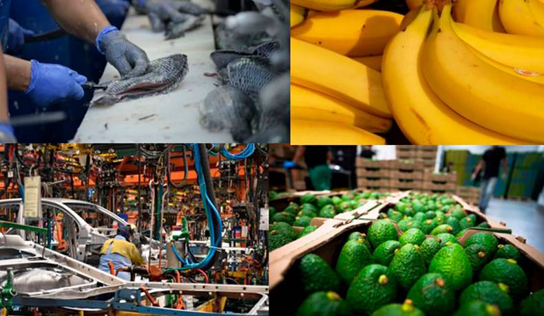 Exportaciones  no minero energéticas crecieron 2,5 %  en el primer trimestre de 2024