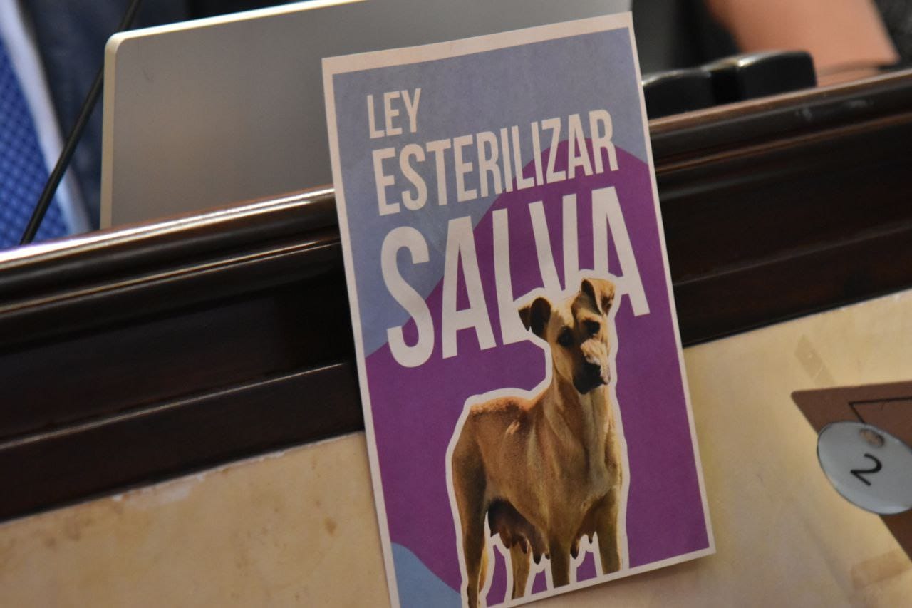 Avanzan proyectos para la protección animal en Colombia