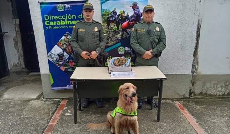  Jeffry olfateó 1.500 dosis en una encomienda enviada a Palocabildo.