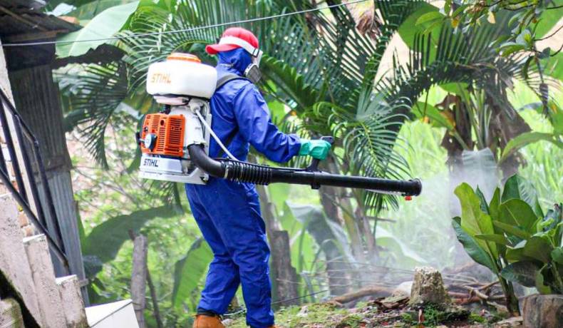 Así va la fumigación contra mosquito transmisor en Ibagué