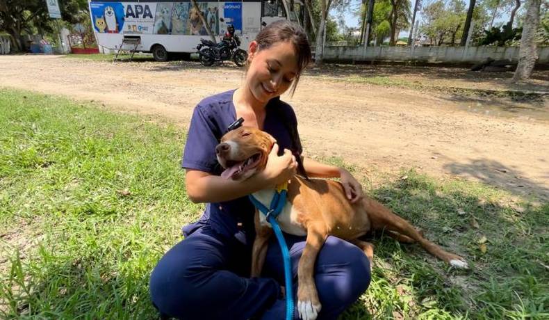 ¡Adopta un peludito del CAPA y cámbiale la vida! el domingo en CC La Estación
