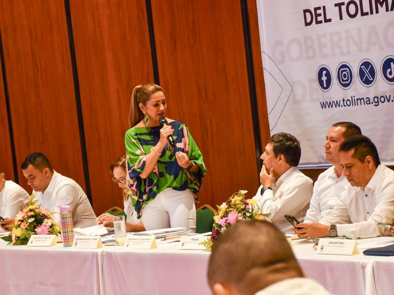 MinTic invertirá más de $105 mil millones en conectividad y formación en el Tolima