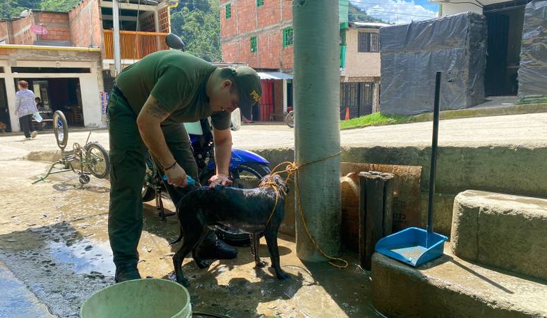 Policías y comunidad en el corregimiento de Bilbao ponen a salvo a un perrito criollo