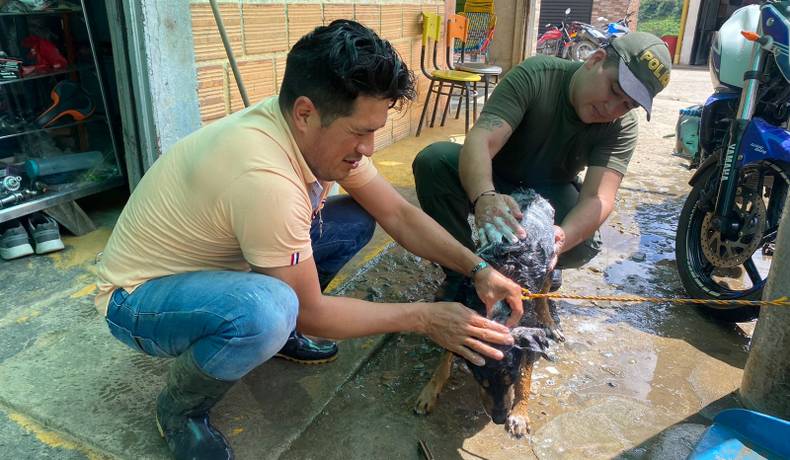 Policías y comunidad en el corregimiento de Bilbao ponen a salvo a un perrito criollo