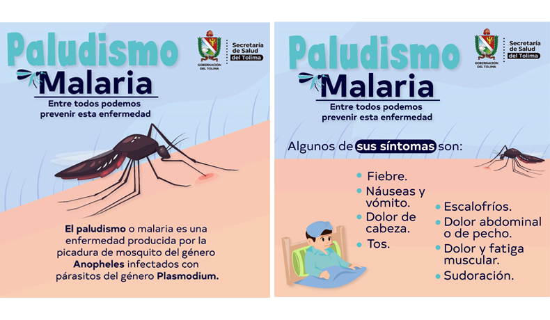 Gobernación intensifica acciones para prevenir transmisión de malaria en Ortega