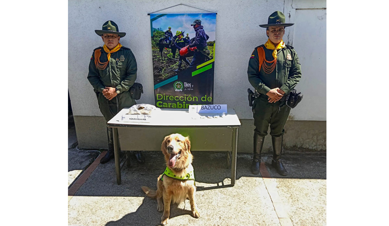 En tres encomiendas Jeffry encontró más de 4 kilos de estupefacientes